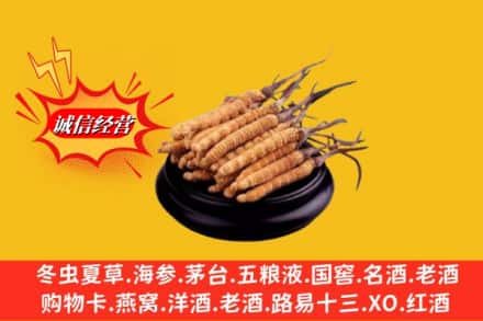 开远市求购回收虫草多少钱每克
